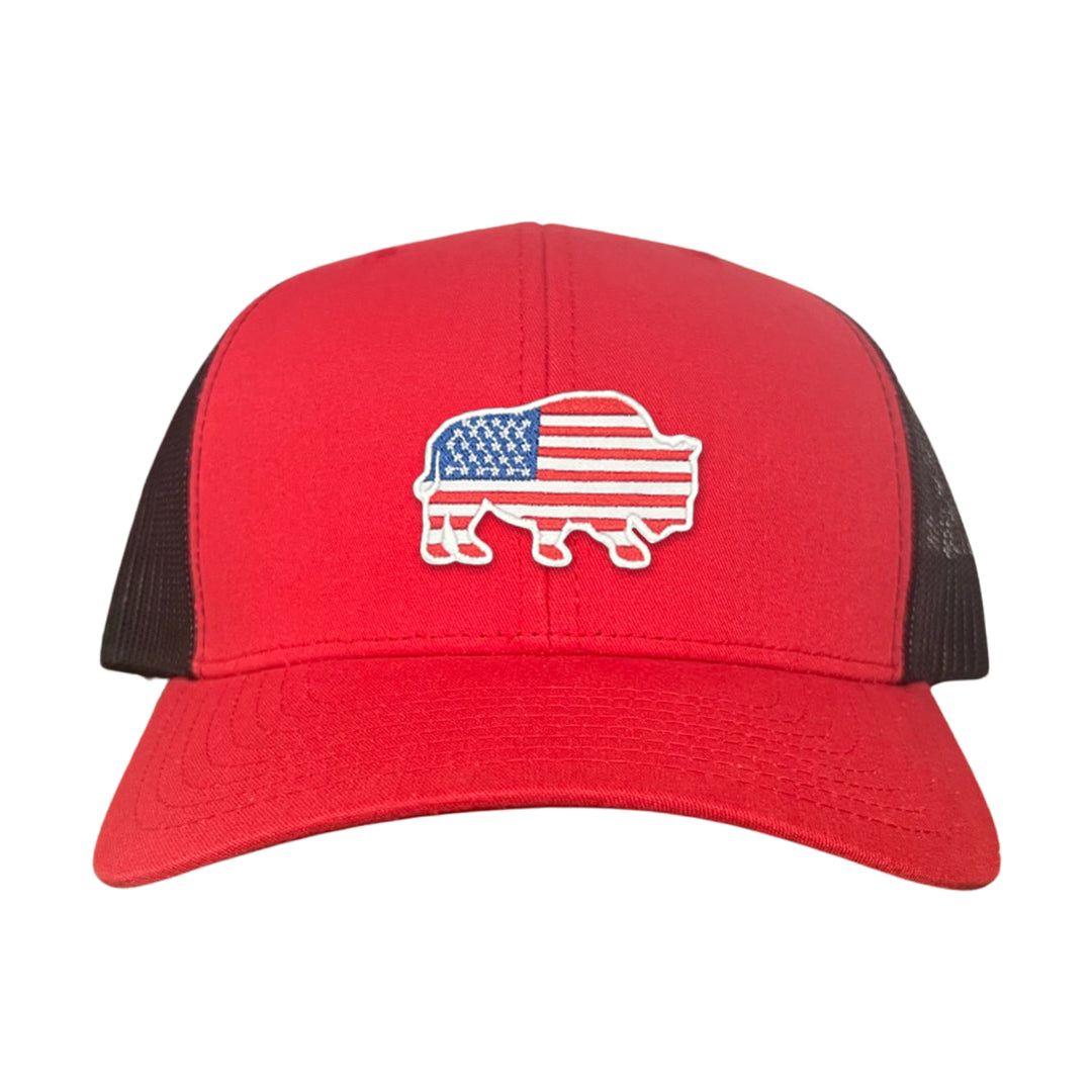 Last Stand Bison American Flag / 068 / MM