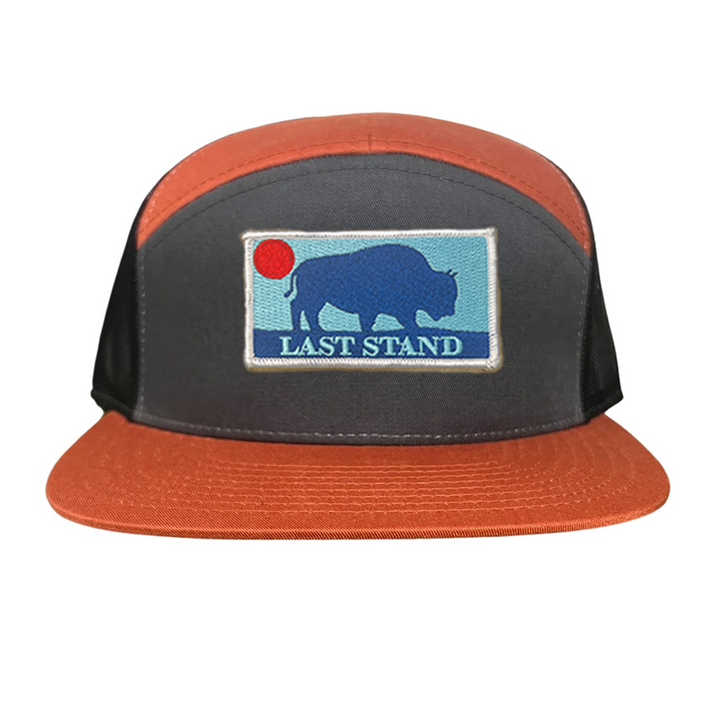 Last Stand Bison Sunset / Hats / 071 / MM